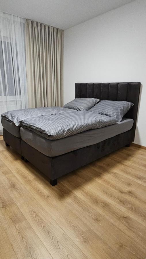 ניטרה Apartman Promenada מראה חיצוני תמונה